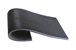 SSC PM 001